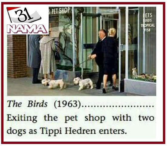 12 امضای تصویری پای فیلم های آلفرد هیچکاک 1963_The_Birds.jpg