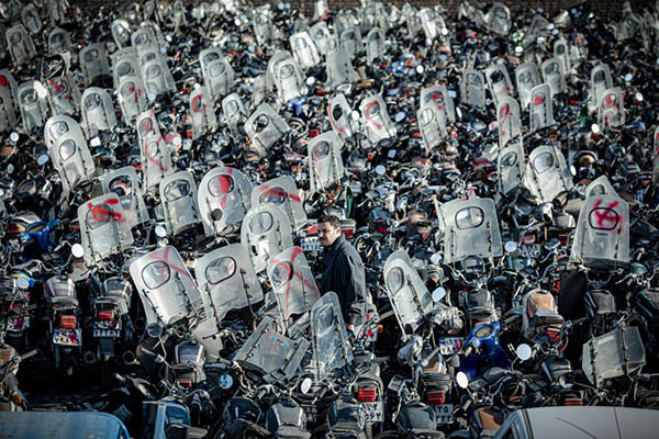 Butterfly Stroke (2).jpeg