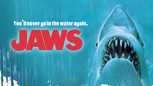 You'll never go in the water again copy.jpg