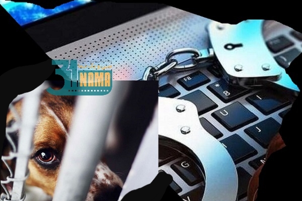 کلاهبرداری همسر سابق بازیگر سینما با عنوان کمک به حیوانات / می خواستم انتقام بگیرم