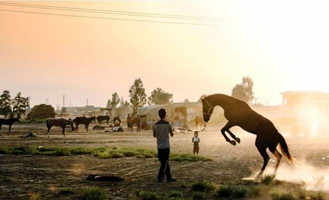 &quot;آتلان&quot; بهترین مستند سی و سومین جشنواره فیلم فجر شد